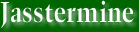 Jasstermine